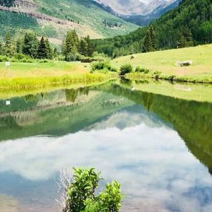 Meet your Posher, Alva